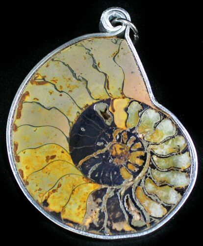 Moroccan Ammonite Fossil Pendant #27398